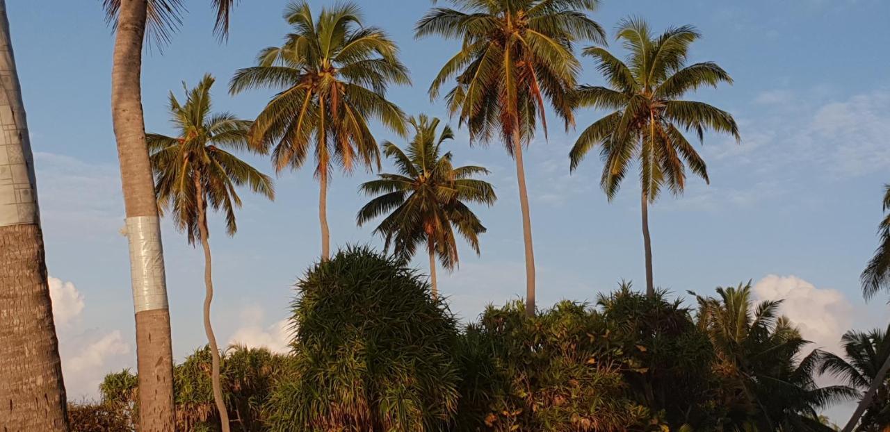 Fuvahmulah Inn Exterior foto